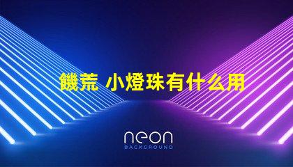 饑荒 小燈珠有什么用
